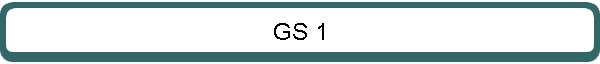 GS 1